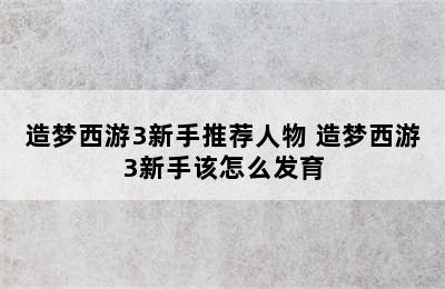 造梦西游3新手推荐人物 造梦西游3新手该怎么发育